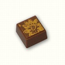 Square Chocolate Mold  Chocolat-Chocolat Inc.