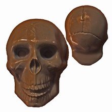 3D Skull Chocolat Mold  Chocolat-Chocolat Inc.